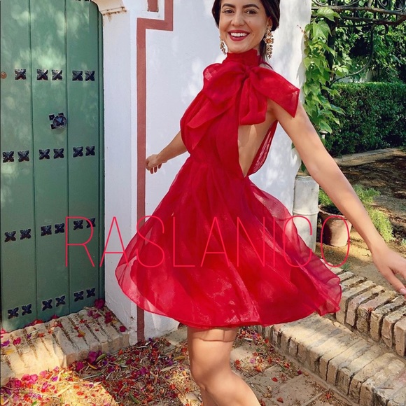 Zara | Dresses | Zara Mini Organza 